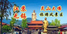 干鸡巴网江苏无锡灵山大佛旅游风景区