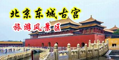 男c女穴视频中国北京-东城古宫旅游风景区